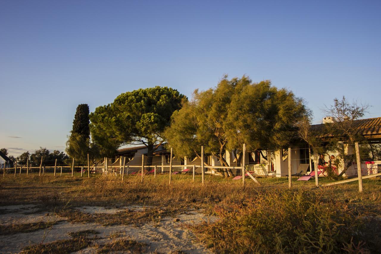 Hotel La Palunette Saintes-Maries-de-la-Mer Zewnętrze zdjęcie